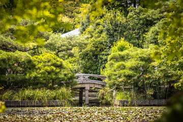 Ryoanji, ryoan-ji temple, temple, kyoto, lily pond, japan, zen, tourism