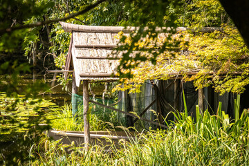 Fototapete bei efototapeten.de bestellen   