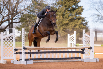 Man equestrian riding horse in english tack