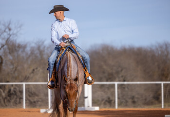Cowboy riding Roan Horse