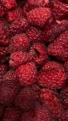 close up of fresh raspberries