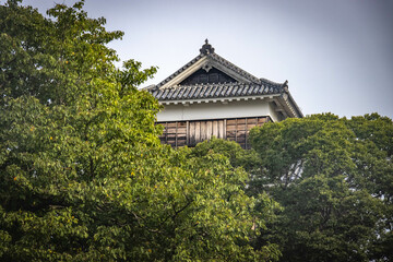Fototapeta premium kumamoto castle, newly restored, japanese culture, samurai, kumamoto, japan, asia