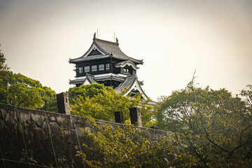 Naklejka premium kumamoto castle, newly restored, japanese culture, samurai, kumamoto, japan, asia
