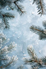 A close-up shot of a pine tree covered in thick snow, highlighting its intricate branches and winter wonderland scene