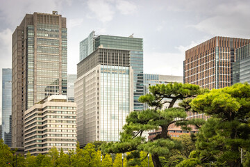 japanese garden in front of marunouchi buildings, skyline, skyscrapers, tokyo, japan, asia