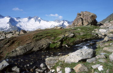 Malerischer Gebirgsbach vor den Zillertaler Eisriesen mit ihren imposanten Gletschern