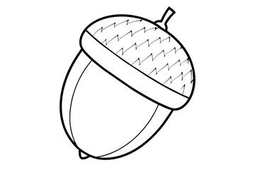 acorn line art vector illustration