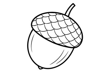 acorn line art vector illustration