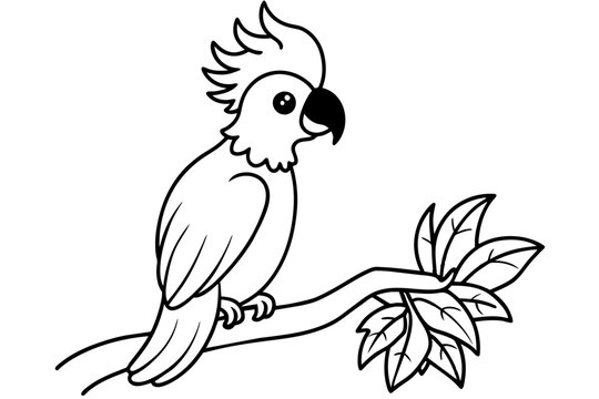 recommend clip art: cute line art cockatoo parrot cartoon on the tree vector illustration