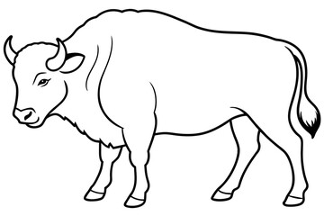 bison line art vector illustration 
