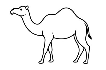 camel line art vector illustration