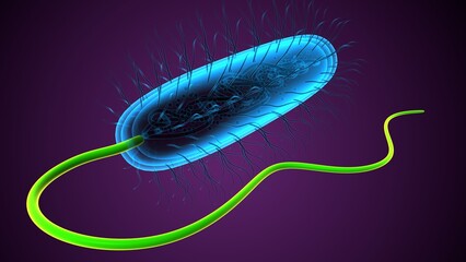 micro bacteria anatomy. 3d illustration