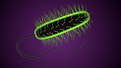 micro bacteria anatomy. 3d illustration
