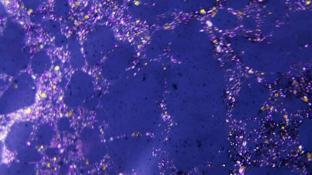 Sky microcosmos visuals.