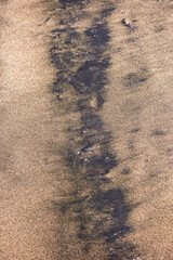 Close-up of beach sand stained with oil residue from an oil spill, showing the environmental impact on the shoreline Oil-stained beach sand with remnants of a petroleum spill