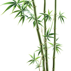 Vector illustration of a bamboo tree on a white background. Suitable for crafting and digital design projects.[A-0003]