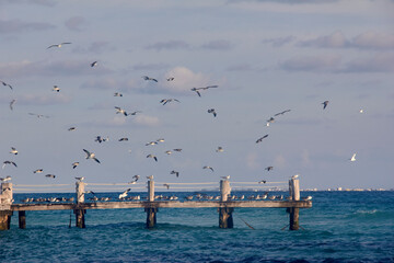 Puerto en Cancún Quintana Roo México.