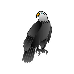 Eagle illustration PNG