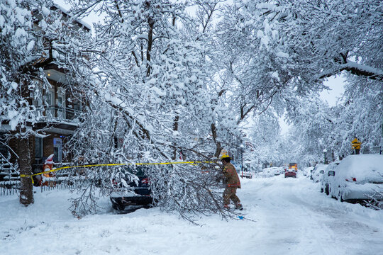 pompier qui coupe un arbre apr&egrave;s une chute de neige 