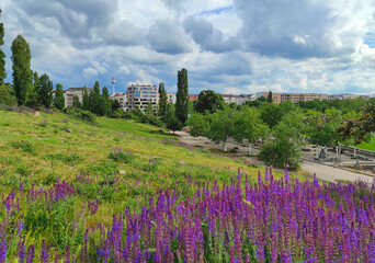 Picturesque spring view of Mauerpark in Berlin, Germany. Situated in "death strip" of Berlin Wall (Mauer) Mauerpark is now a social, cultural and artistic center of Berlin