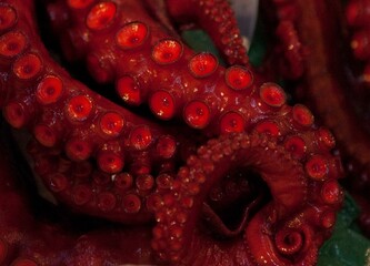 Red octopus tentacles closeup, fish market, Japan © catahula
