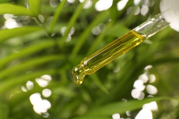 Dripping essential oil from pipette outdoors, closeup