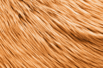 Texture of orange faux fur as background, closeup