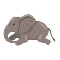 baby elephant resting