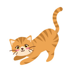 cute striped kitty animal