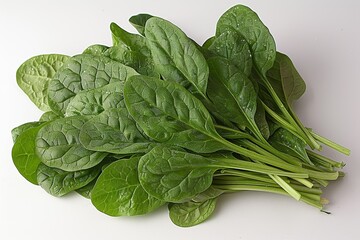 A close-up image of a fresh bundle of vibrant green spinach leaves neatly arranged against a clear white background to showcase their texture and freshness - Powered by Adobe