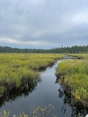 landscape with river and sky in a field