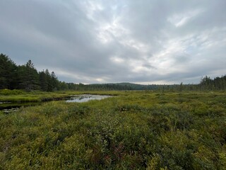 river and clouds