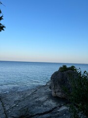 tree on the beach with blue sky and beautiful sunset