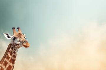 giraffe in the zoo, generative ai