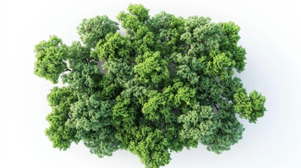 Aerial View of Lush Green Trees, Generative AI