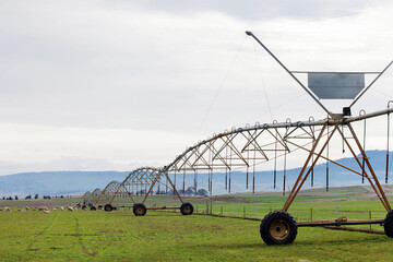 Large irrigation system across a paddock