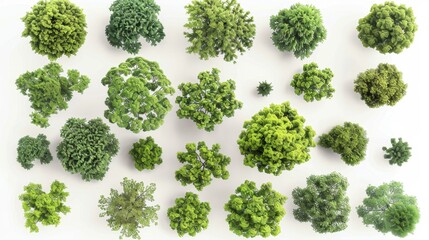 Aerial View of Diverse Tree Canopies, Generative AI