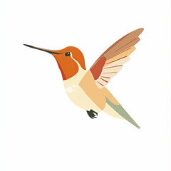 Obraz premium Hummingbird in flight, isolated on white background.