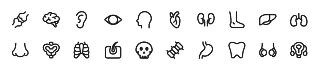Set of human organ icons. 20 sets of human organ icons. Human organ icons.  Simple line style human organ icons