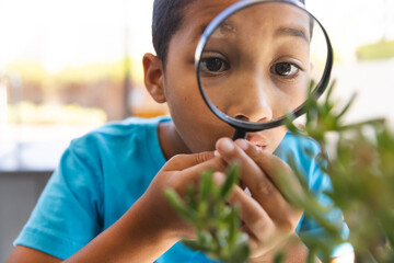 Biracial boy examines plant closely in science class at school