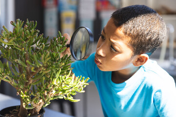 Biracial boy examines a plant closely in science class at school, with copy space