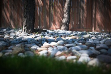 Obraz premium Backyard with trees and stone ground cover