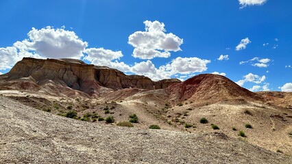 사막의 경관, 사막,