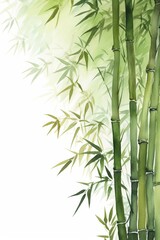 Bamboo Forest Border, Watercolor Natureinspired Border, watercolor illustration, isolated on white background