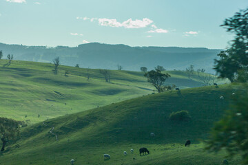 Rolling Hills, New South Wales, Australia