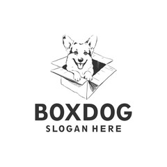Box dog logo vector illustration