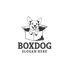 Box dog logo vector illustration