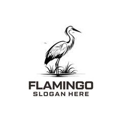 Flamingo logo vector illustration design