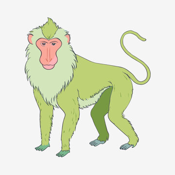 recommend clip art: a line art of Pastel colored BABOON