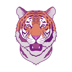 tiger face vector  on white background